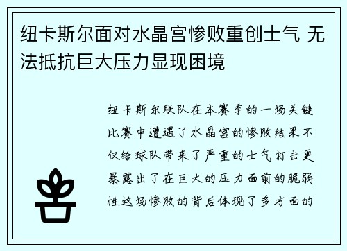 纽卡斯尔面对水晶宫惨败重创士气 无法抵抗巨大压力显现困境 纽卡斯尔面对水晶宫惨败重创士气 无法抵抗巨大压力显现困境